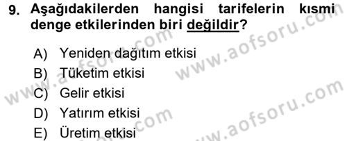 Uluslararası İktisat Politikası Dersi 2017 - 2018 Yılı (Vize) Ara Sınav Soruları 9. Soru