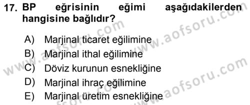 Uluslararası İktisat Politikası Dersi 2018 - 2019 Yılı 3 Ders Sınav Soruları 17. Soru