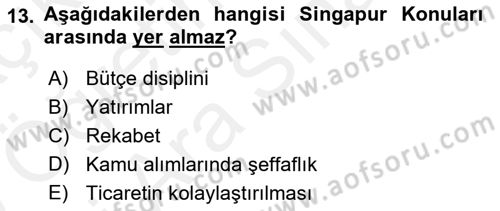 Uluslararası İktisat Politikası Dersi 2018 - 2019 Yılı (Vize) Ara Sınav Soruları 13. Soru