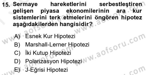 Uluslararası İktisat Politikası Dersi 2018 - 2019 Yılı (Final) Dönem Sonu Sınav Soruları 15. Soru