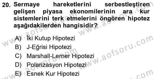 Uluslararası İktisat Politikası Dersi 2020 - 2021 Yılı Yaz Okulu Sınav Soruları 20. Soru