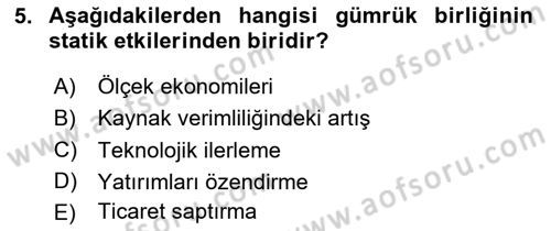 Uluslararası İktisat Politikası Dersi 2020 - 2021 Yılı Yaz Okulu Sınav Soruları 5. Soru