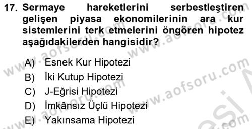 Uluslararası İktisat Politikası Dersi 2021 - 2022 Yılı (Final) Dönem Sonu Sınav Soruları 17. Soru