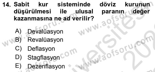 Uluslararası İktisat Politikası Dersi 2021 - 2022 Yılı Yaz Okulu Sınav Soruları 14. Soru