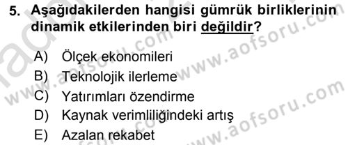 Uluslararası İktisat Politikası Dersi 2021 - 2022 Yılı Yaz Okulu Sınav Soruları 5. Soru