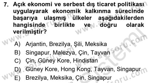 Uluslararası İktisat Politikası Dersi 2021 - 2022 Yılı Yaz Okulu Sınav Soruları 7. Soru