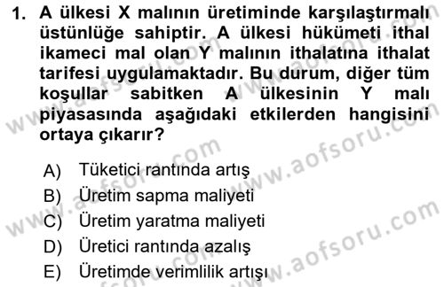 Uluslararası İktisat Politikası Dersi 2022 - 2023 Yılı Yaz Okulu Sınav Soruları 1. Soru
