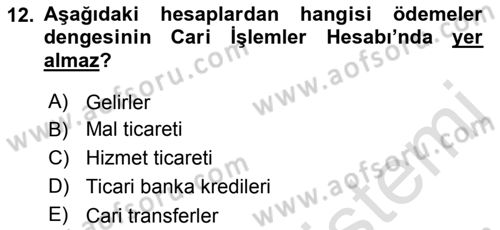 Uluslararası İktisat Politikası Dersi 2022 - 2023 Yılı Yaz Okulu Sınav Soruları 12. Soru