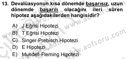 Uluslararası İktisat Politikası Dersi 2022 - 2023 Yılı Yaz Okulu Sınav Soruları 13. Soru
