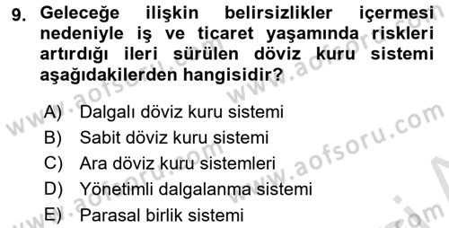 Uluslararası İktisat Politikası Dersi 2022 - 2023 Yılı Yaz Okulu Sınav Soruları 9. Soru