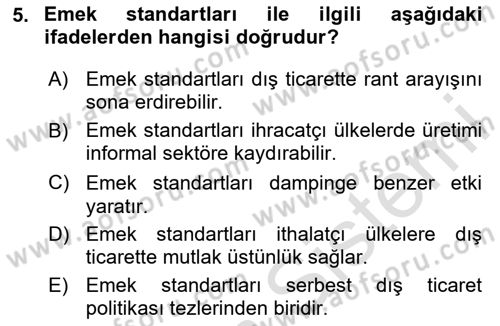Uluslararası İktisat Politikası Dersi 2023 - 2024 Yılı (Vize) Ara Sınav Soruları 5. Soru