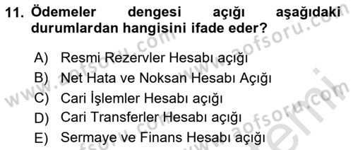 Uluslararası İktisat Politikası Dersi 2023 - 2024 Yılı (Final) Dönem Sonu Sınav Soruları 11. Soru
