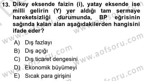 Uluslararası İktisat Politikası Dersi 2023 - 2024 Yılı (Final) Dönem Sonu Sınav Soruları 13. Soru