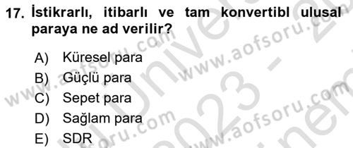 Uluslararası İktisat Politikası Dersi 2023 - 2024 Yılı (Final) Dönem Sonu Sınav Soruları 17. Soru
