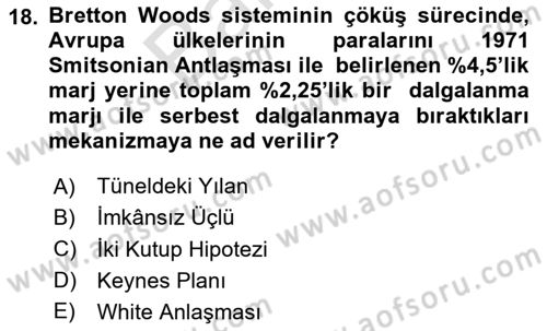 Uluslararası İktisat Politikası Dersi 2023 - 2024 Yılı (Final) Dönem Sonu Sınav Soruları 18. Soru