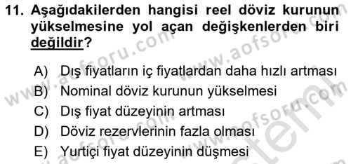Uluslararası İktisat Politikası Dersi 2023 - 2024 Yılı Yaz Okulu Sınav Soruları 11. Soru