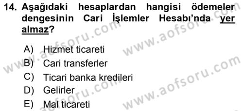 Uluslararası İktisat Politikası Dersi 2023 - 2024 Yılı Yaz Okulu Sınav Soruları 14. Soru