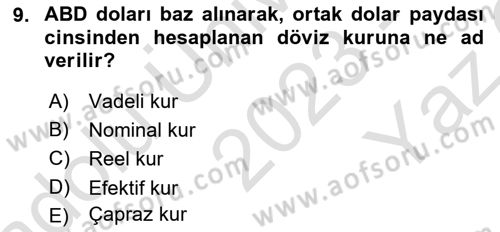 Uluslararası İktisat Politikası Dersi 2023 - 2024 Yılı Yaz Okulu Sınav Soruları 9. Soru