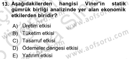 Uluslararası İktisat Politikası Dersi 2024 - 2025 Yılı (Vize) Ara Sınav Soruları 13. Soru