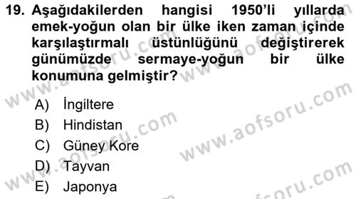 Uluslararası İktisat Politikası Dersi 2024 - 2025 Yılı (Vize) Ara Sınav Soruları 19. Soru