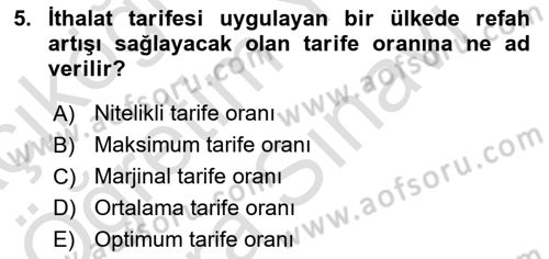Uluslararası İktisat Politikası Dersi 2024 - 2025 Yılı (Vize) Ara Sınav Soruları 5. Soru