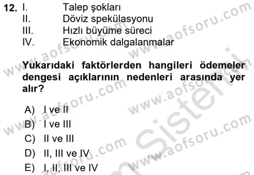 Uluslararası İktisat Politikası Dersi 2024 - 2025 Yılı (Final) Dönem Sonu Sınav Soruları 12. Soru