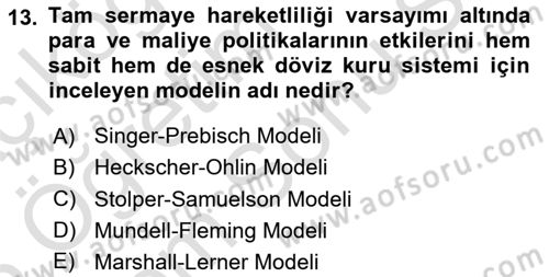 Uluslararası İktisat Politikası Dersi 2024 - 2025 Yılı (Final) Dönem Sonu Sınav Soruları 13. Soru