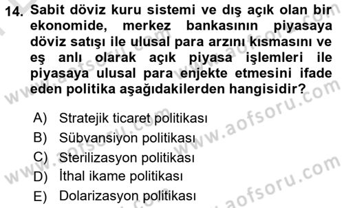Uluslararası İktisat Politikası Dersi 2024 - 2025 Yılı (Final) Dönem Sonu Sınav Soruları 14. Soru