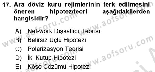 Uluslararası İktisat Politikası Dersi 2024 - 2025 Yılı (Final) Dönem Sonu Sınav Soruları 17. Soru