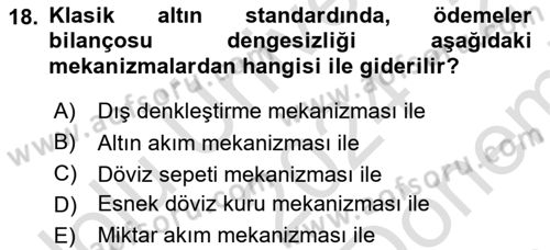 Uluslararası İktisat Politikası Dersi 2024 - 2025 Yılı (Final) Dönem Sonu Sınav Soruları 18. Soru