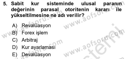 Uluslararası İktisat Politikası Dersi 2024 - 2025 Yılı (Final) Dönem Sonu Sınav Soruları 5. Soru