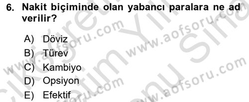 Uluslararası İktisat Politikası Dersi 2024 - 2025 Yılı (Final) Dönem Sonu Sınav Soruları 6. Soru
