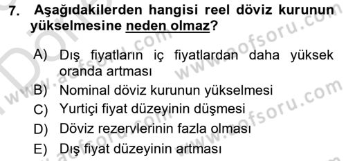 Uluslararası İktisat Politikası Dersi 2024 - 2025 Yılı (Final) Dönem Sonu Sınav Soruları 7. Soru