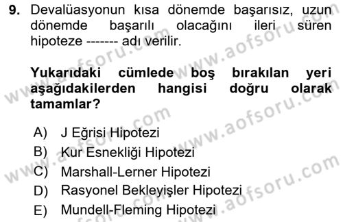 Uluslararası İktisat Politikası Dersi 2024 - 2025 Yılı (Final) Dönem Sonu Sınav Soruları 9. Soru