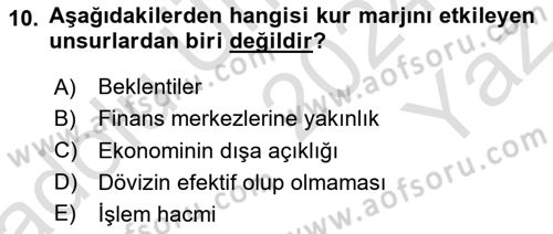 Uluslararası İktisat Politikası Dersi 2024 - 2025 Yılı Yaz Okulu Sınav Soruları 10. Soru