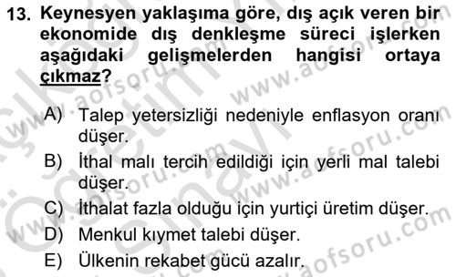 Uluslararası İktisat Politikası Dersi 2024 - 2025 Yılı Yaz Okulu Sınav Soruları 13. Soru