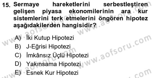 Uluslararası İktisat Politikası Dersi 2024 - 2025 Yılı Yaz Okulu Sınav Soruları 15. Soru