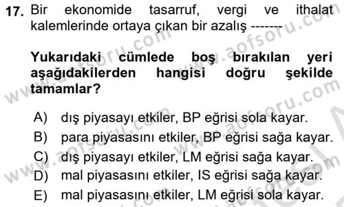 Uluslararası İktisat Politikası Dersi 2024 - 2025 Yılı Yaz Okulu Sınav Soruları 17. Soru