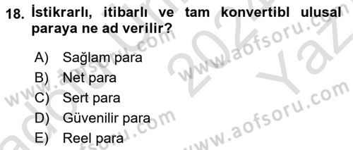 Uluslararası İktisat Politikası Dersi 2024 - 2025 Yılı Yaz Okulu Sınav Soruları 18. Soru