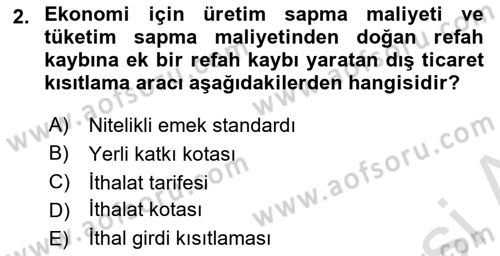 Uluslararası İktisat Politikası Dersi 2024 - 2025 Yılı Yaz Okulu Sınav Soruları 2. Soru