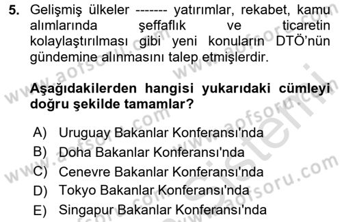Uluslararası İktisat Politikası Dersi 2024 - 2025 Yılı Yaz Okulu Sınav Soruları 5. Soru