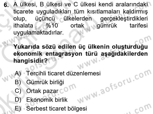 Uluslararası İktisat Politikası Dersi 2024 - 2025 Yılı Yaz Okulu Sınav Soruları 6. Soru