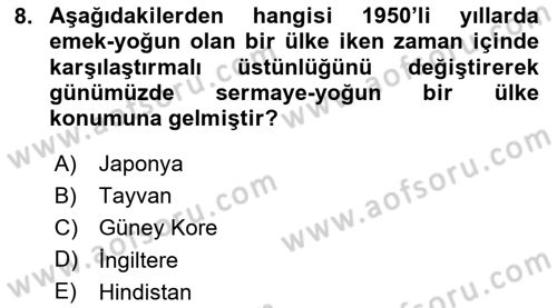 Uluslararası İktisat Politikası Dersi 2024 - 2025 Yılı Yaz Okulu Sınav Soruları 8. Soru