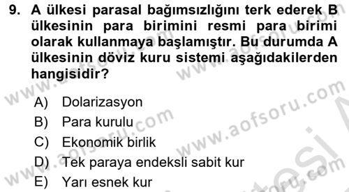 Uluslararası İktisat Politikası Dersi 2024 - 2025 Yılı Yaz Okulu Sınav Soruları 9. Soru