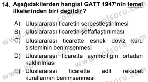 Uluslararası İktisat Politikası Dersi 2025 - 2026 Yılı (Vize) Ara Sınav Soruları 14. Soru