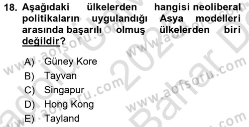 Uluslararası İktisat Politikası Dersi 2025 - 2026 Yılı (Vize) Ara Sınav Soruları 18. Soru