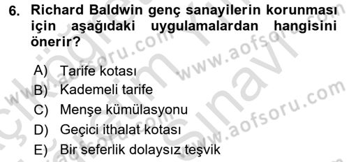 Uluslararası İktisat Politikası Dersi 2025 - 2026 Yılı (Vize) Ara Sınav Soruları 6. Soru