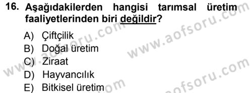 Tarım Ekonomisi ve Tarımsal Politikalar Dersi Ara Sınavı Deneme Sınav Soruları 16. Soru