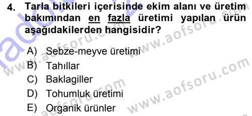 Tarım Ekonomisi ve Tarımsal Politikalar Dersi Ara Sınavı Deneme Sınav Soruları 4. Soru
