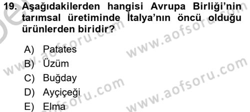 Tarım Ekonomisi ve Tarımsal Politikalar Dersi 2016 - 2017 Yılı 3 Ders Sınav Soruları 19. Soru